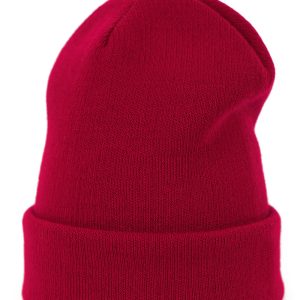 pet model 185704 Art of polo